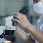 Bea Cukai Dharmasraya: Mempercepat Proses Impor dan Ekspor